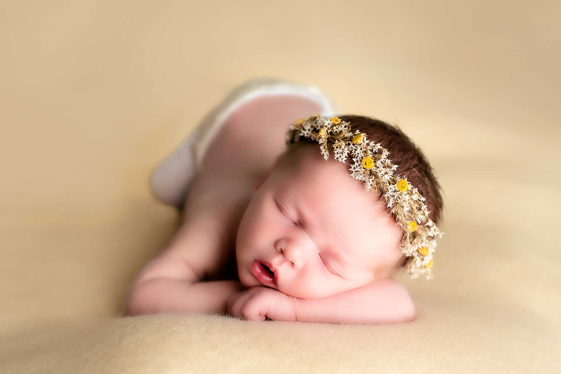 Newborn Photography Portfolio | Amika Gair | Newborn Photographer | West Hartford, Ct